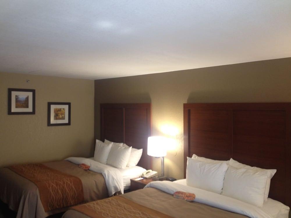 Comfort Inn Biltmore West Asheville Exterior foto